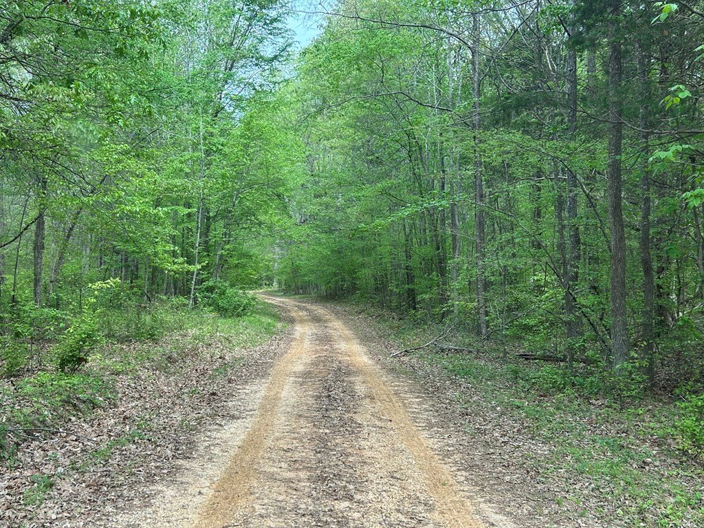 Picture 21