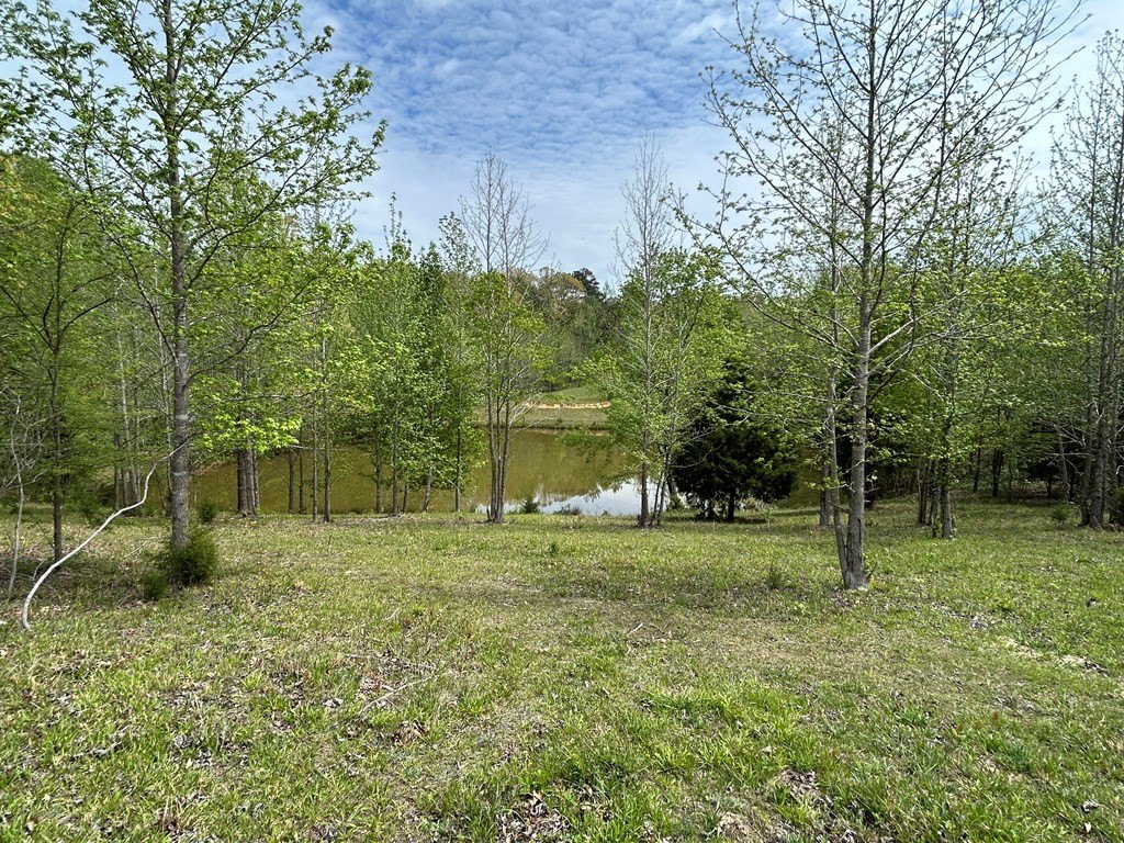 Picture 15
