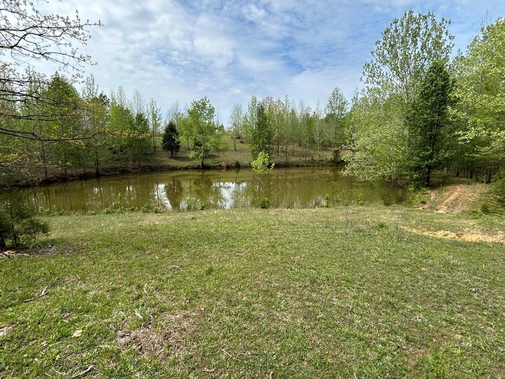 Picture 16