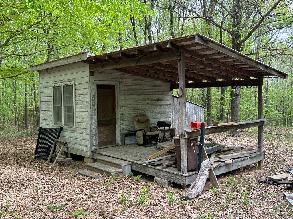 Picture 3