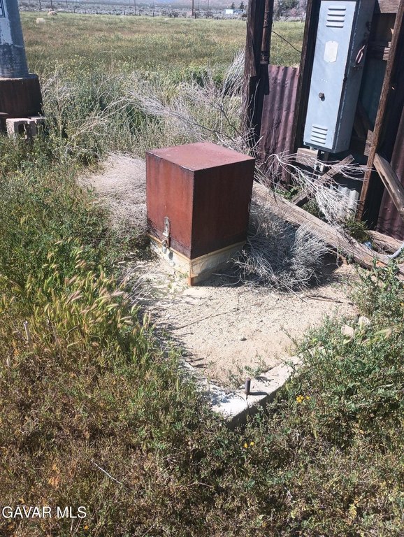 Picture 2