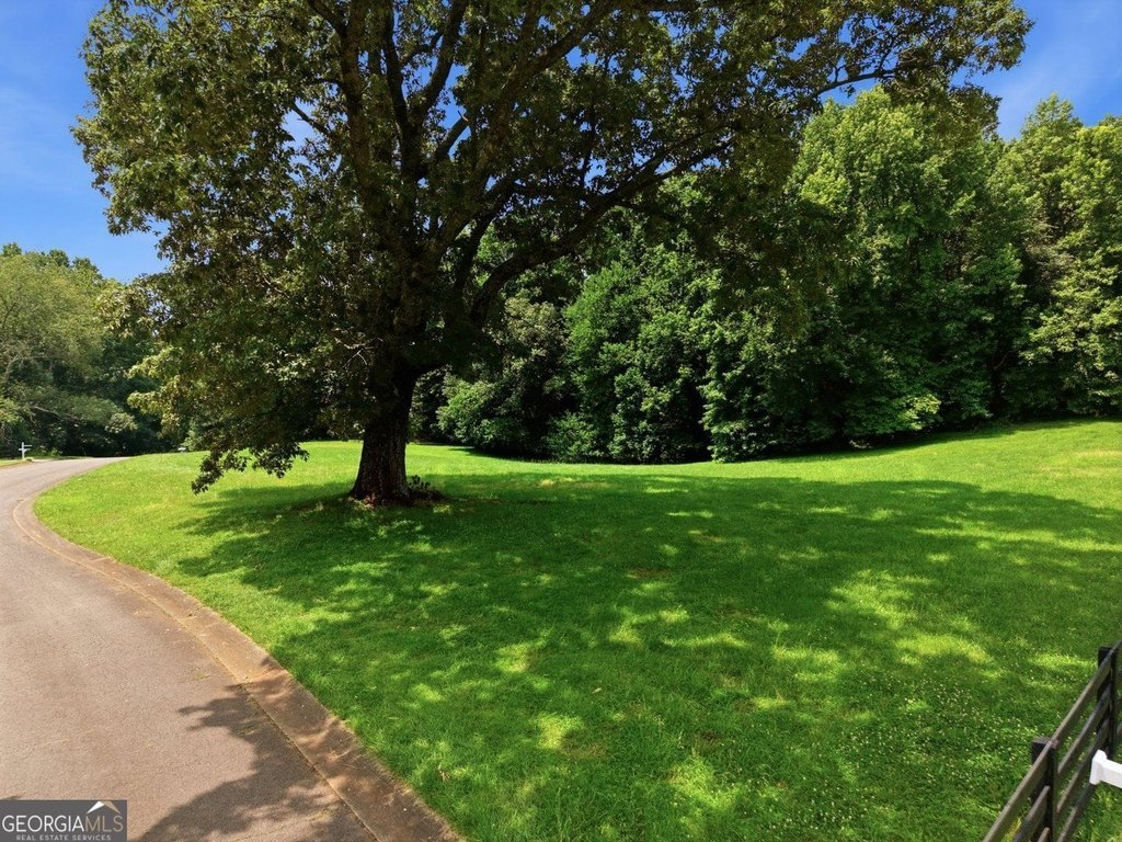 Picture 20