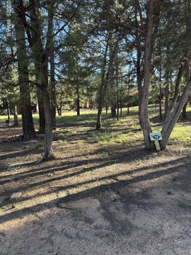 Lakeside, AZ Level Lot