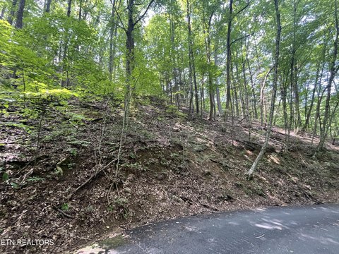 LAND - Sevierville, TN