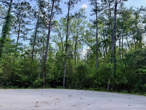 Residential Lot in Diamondhead, MS