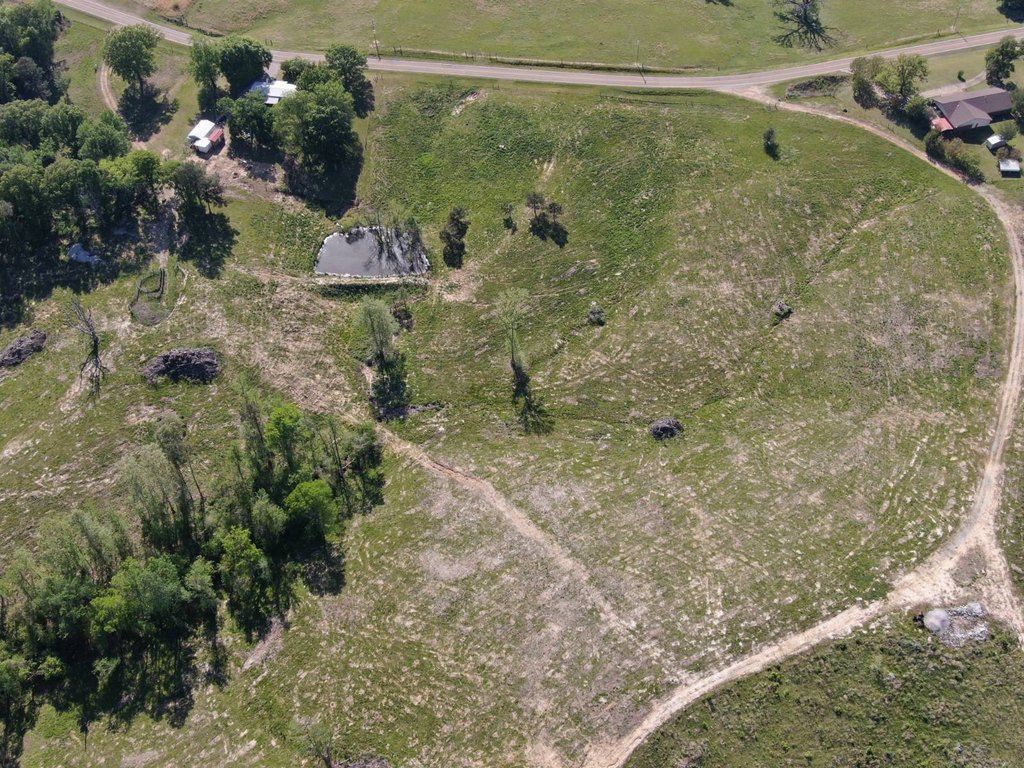 Picture 16
