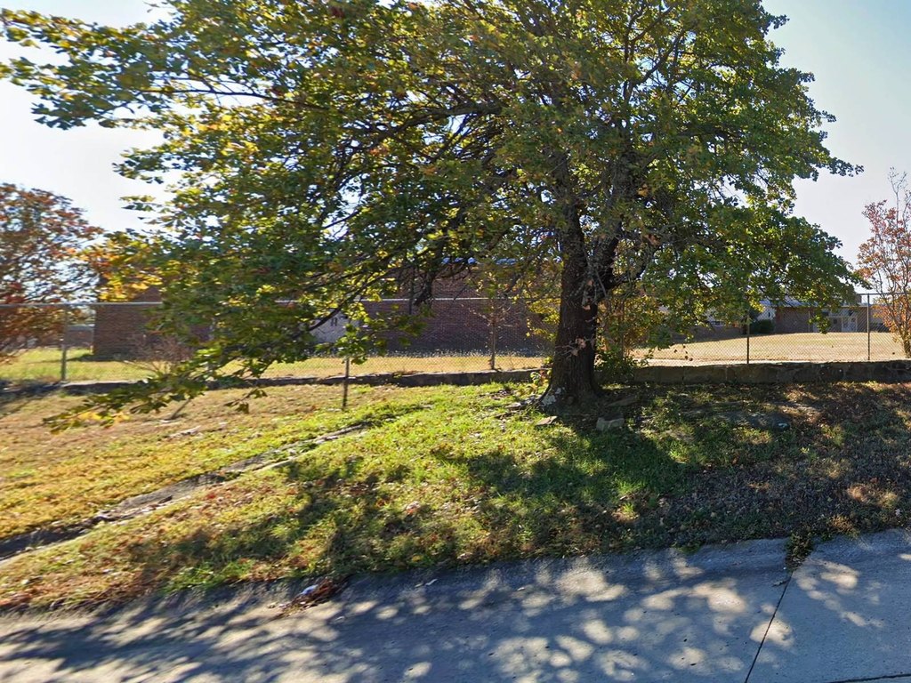 Picture 19