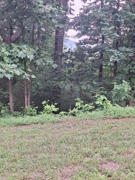 LAND - Ellijay, GA