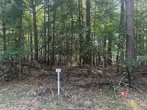 Land, Stanwood, MI