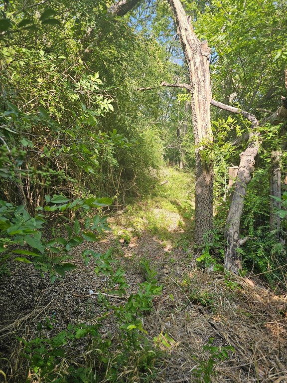 Picture 3