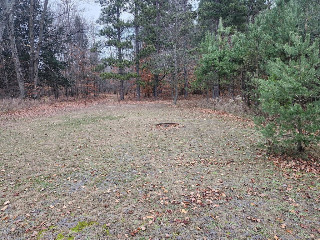 Picture 8