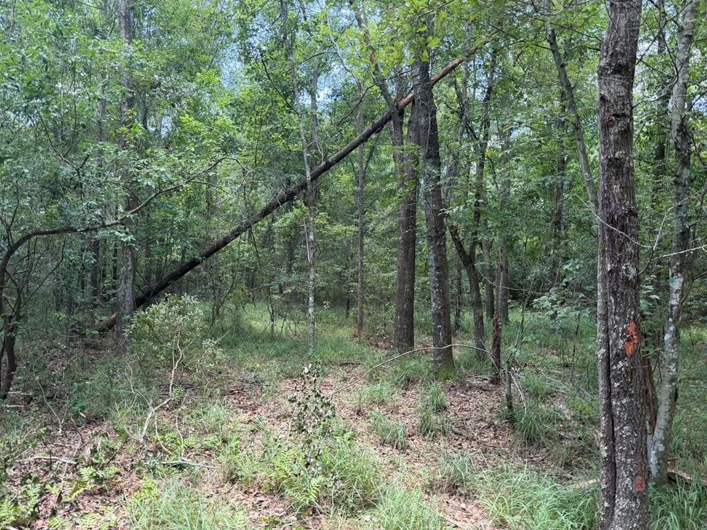 Picture 23