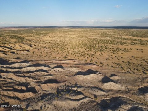 St. Johns Land Opportunity