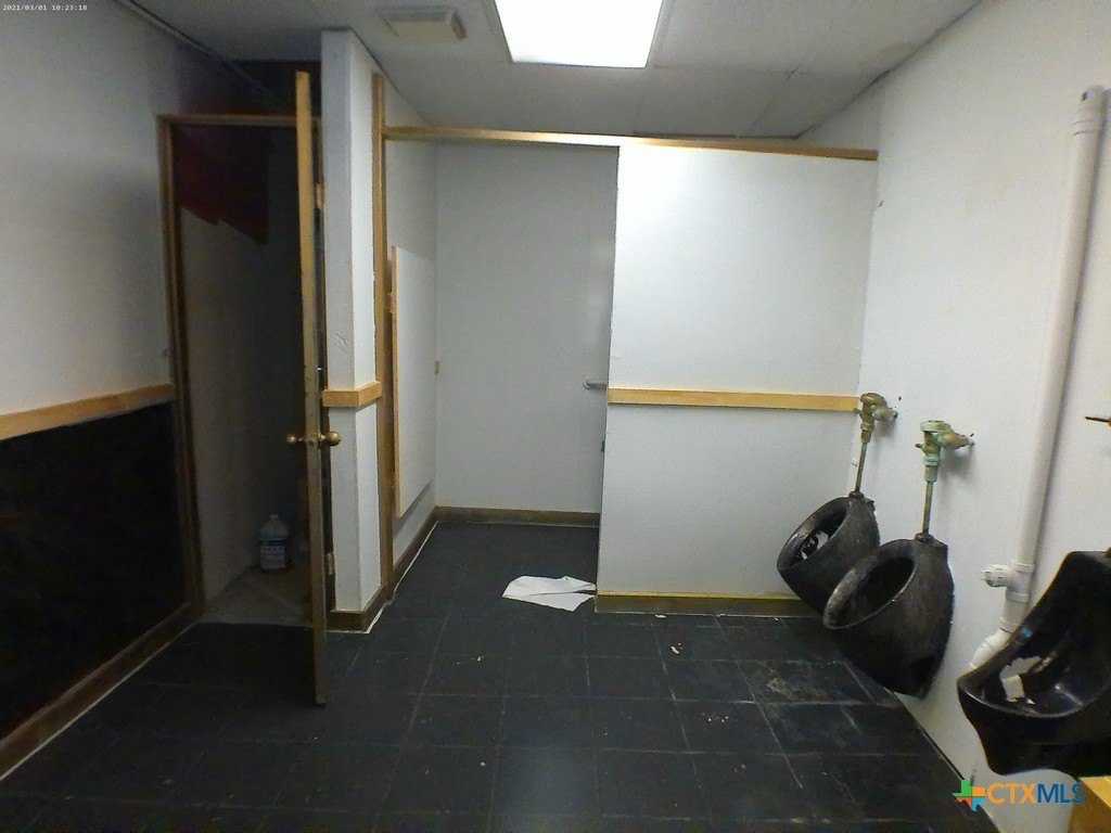 Picture 16