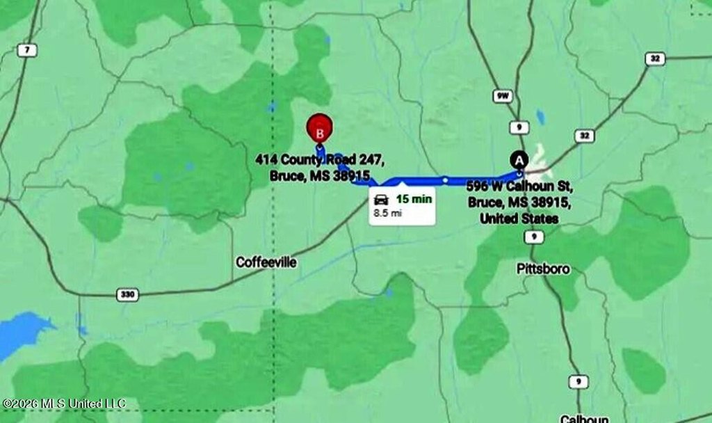Picture 12