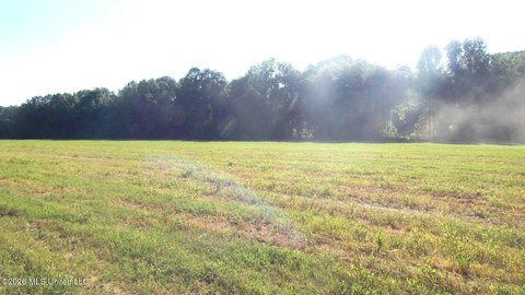Land, Bruce, MS