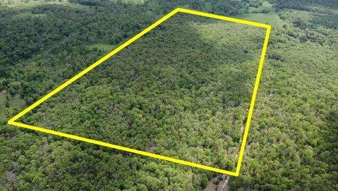 80 Acres Timbered Hunting Land