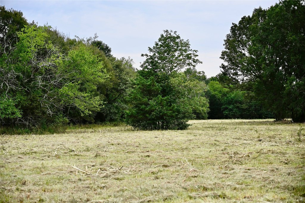 Picture 7