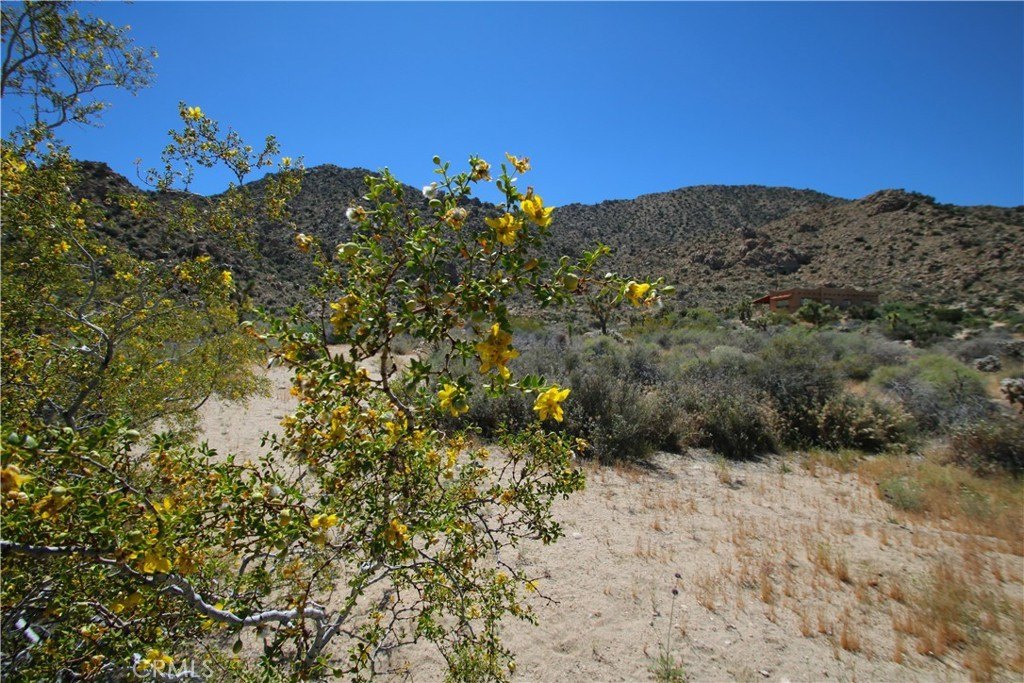 Picture 25