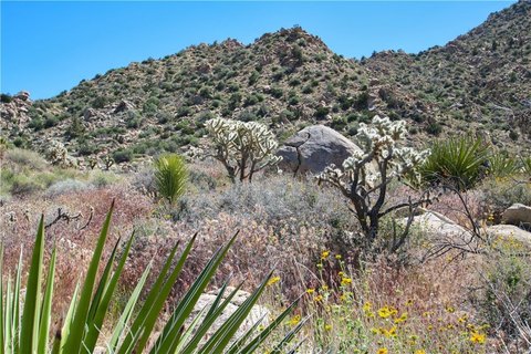 LAND - Joshua Tree, CA