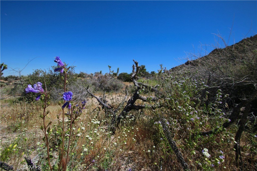 Picture 28