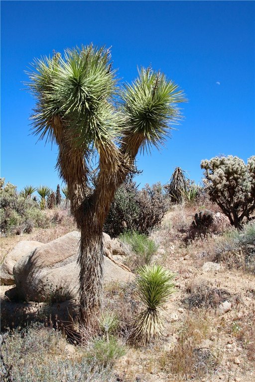 Picture 32