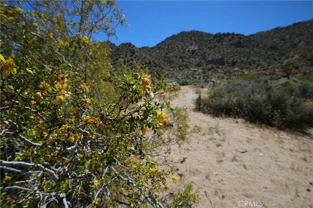 Picture 26