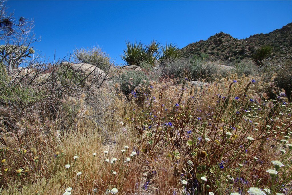 Picture 31