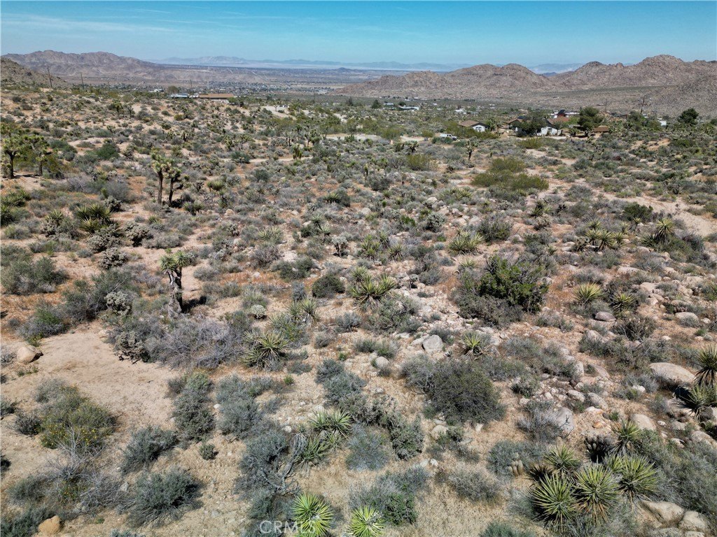 Picture 23
