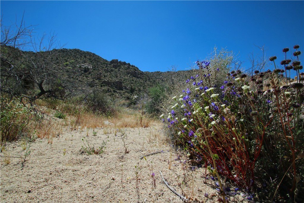 Picture 30