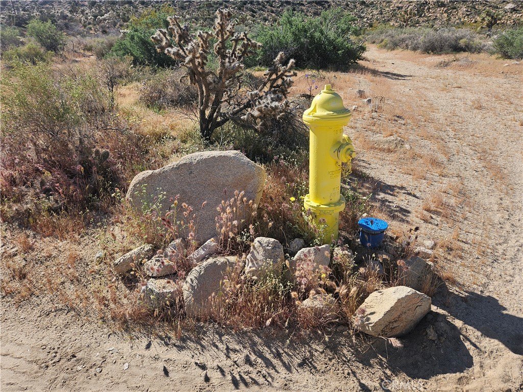 Picture 6