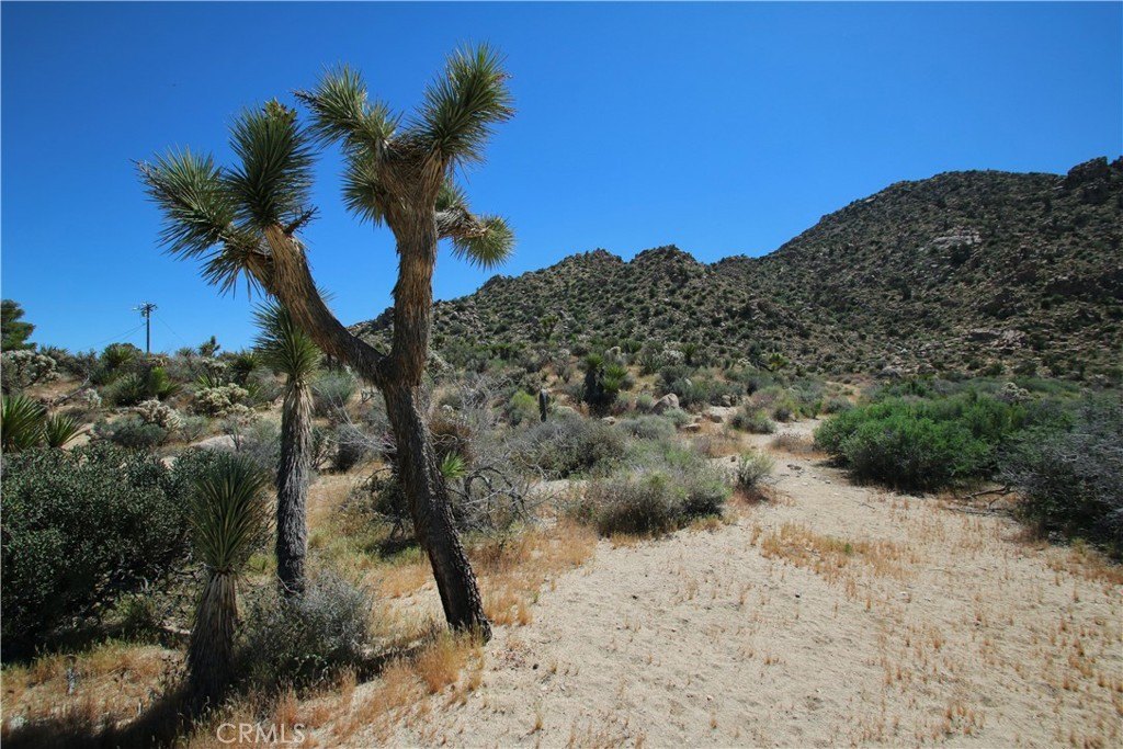 Picture 29