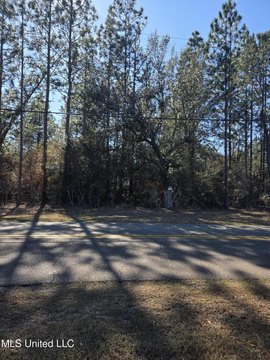 LAND - Perkinston, MS