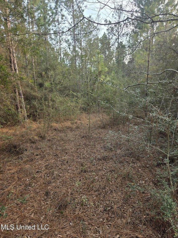 Picture 8