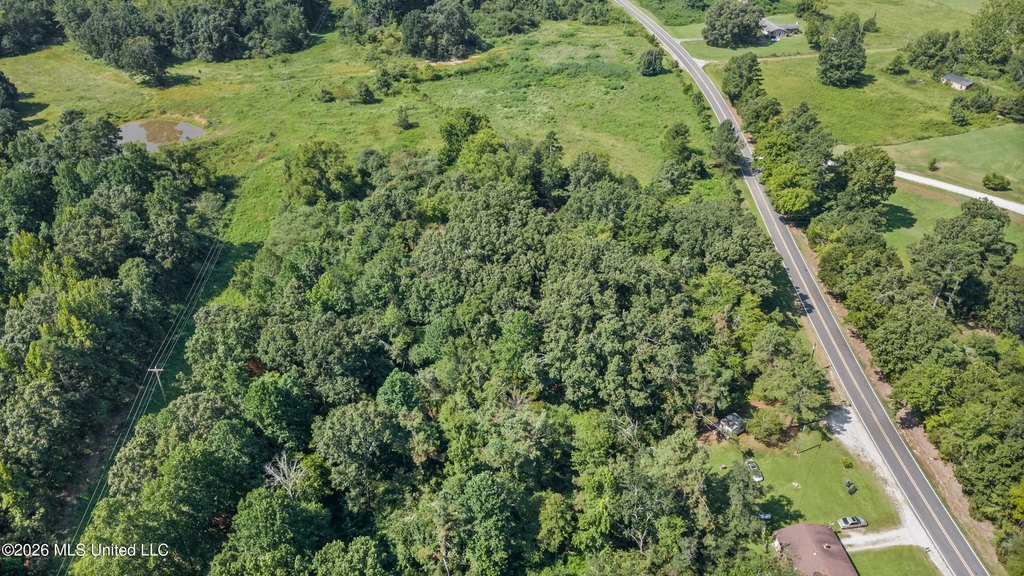 Picture 13