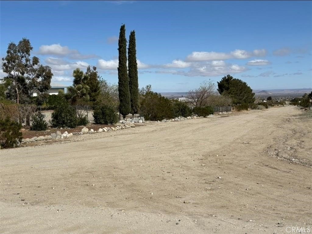 Picture 4