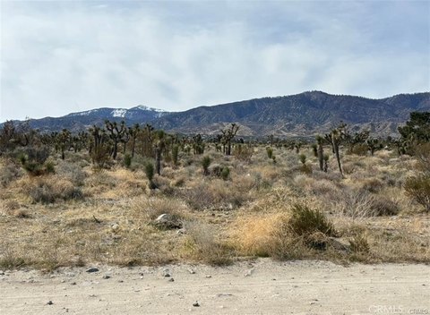 LAND - Pinon Hills, CA