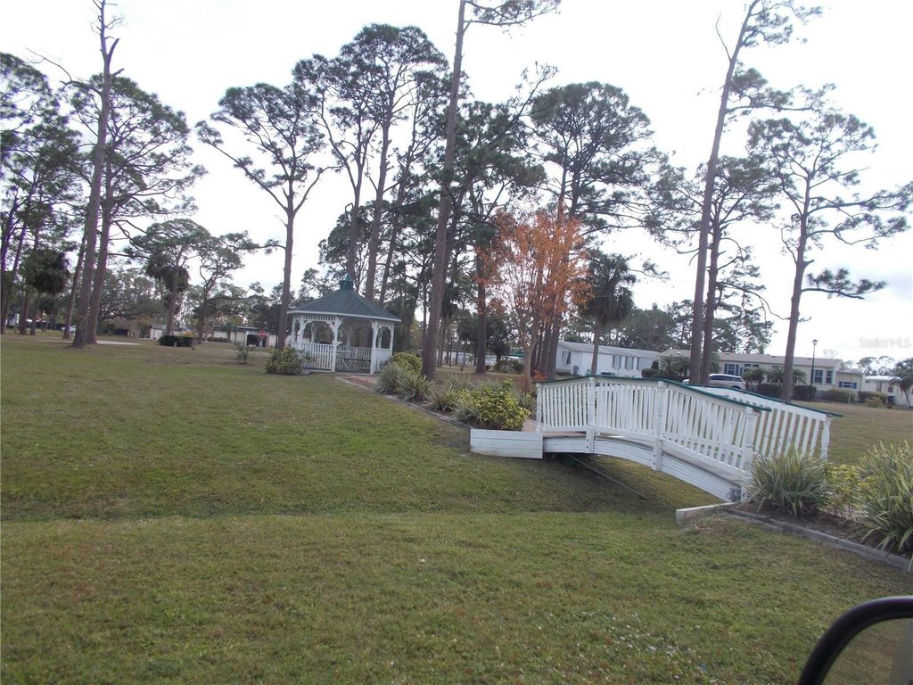 Picture 21