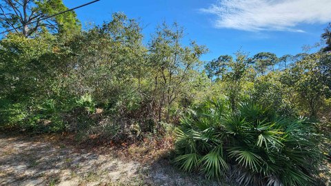 LAND - Panacea, FL