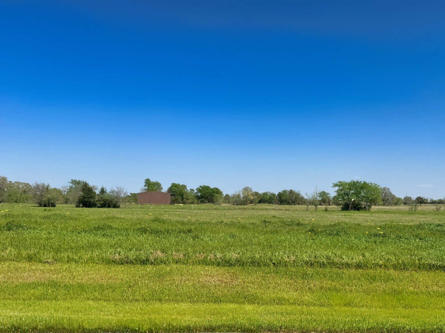 Land in Iola, Texas
