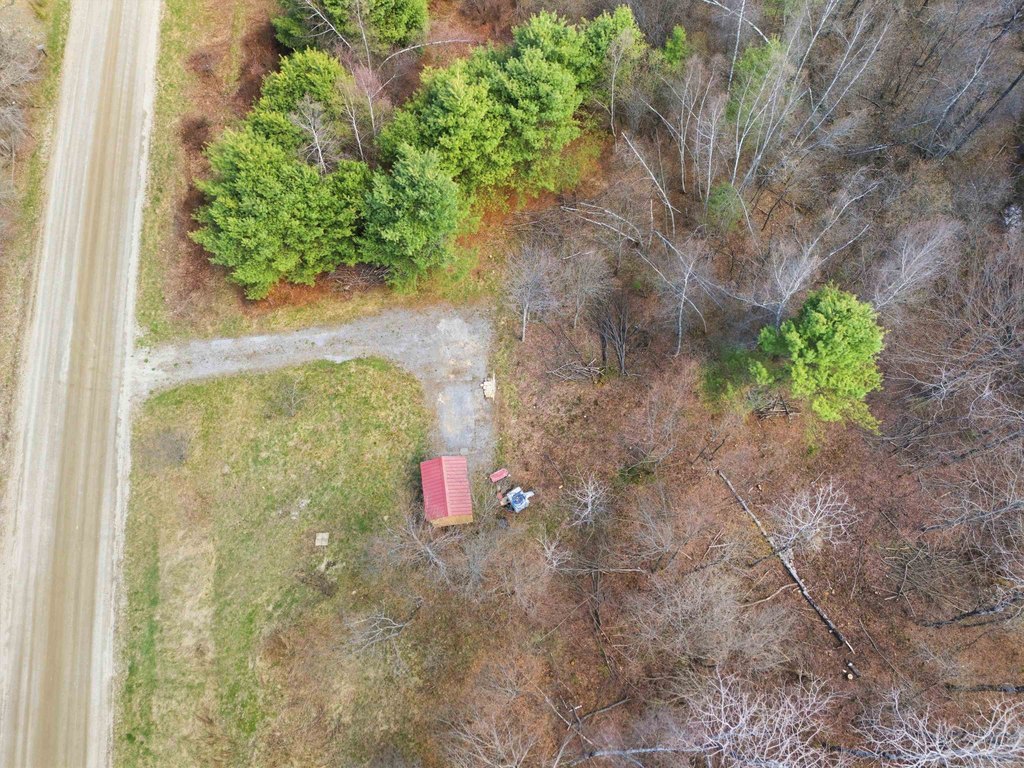Picture 5