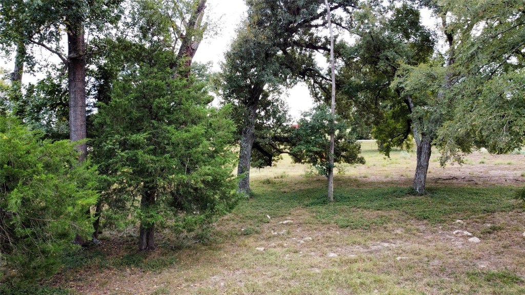 Picture 4