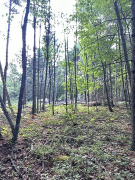 Land, Biddeford, ME