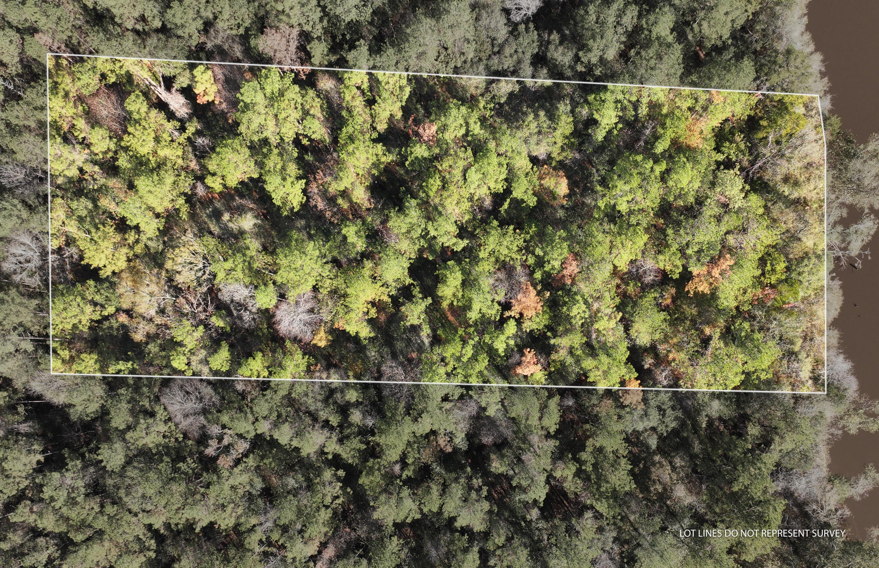 Leaf River Waterfront Acreage