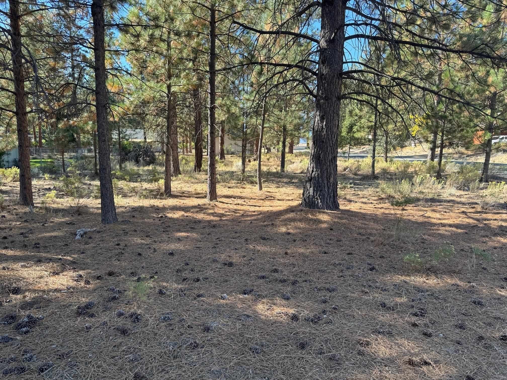 Level Corner Lot Near Golf