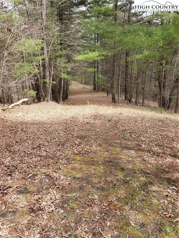 Picture 14