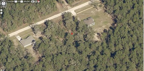 LAND - Ocala, FL