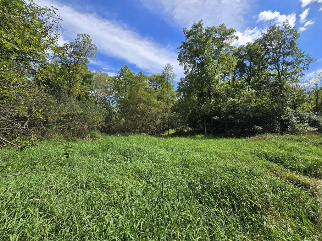 Picture 30