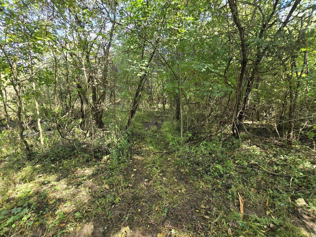 Picture 18