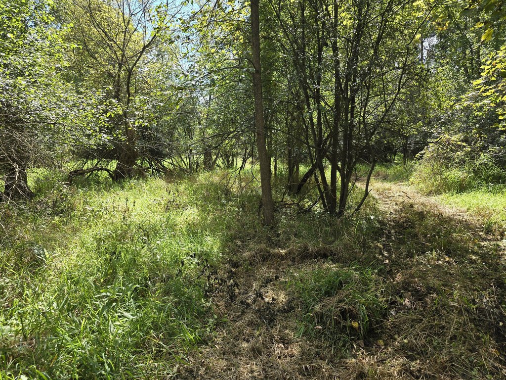 Picture 24